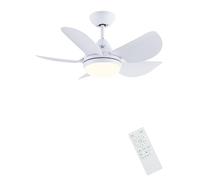 Newday 30” Small White Ceiling Fan with Remote Control, Modern Ceiling Fan with 5 Blade, Reversible DC Motor, Stepless Dimmer, 7 Speed Mode, Memory Function, Timer for Bedroom Living Room