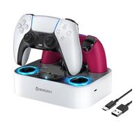NEWDERY PS5 Controller Charger Station, PS5 Charging Dock Station with Fast Charging AC Adapter for Playstation 5 Controllers