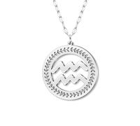 NEWEI Stainless Steel Silver Dainty Zodiac Sign Charm Chain Pendant Necklace Birthday Gifts for Women Celestial Constellation Horoscope Astrology Jewellery Cool Gifts for Female Friend (Aquarius)