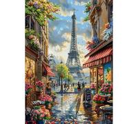 NEWENMO 5D Eiffel Tower Diamond Painting Kits for Adults,Parisian Street Scene Diamond Art Kit,DIY Full Drill Crystal Embroidery Gifts,Flowers Diamond Art Craft,for Living Room Home Decor - 30x40cm