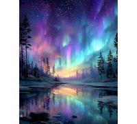 NEWENMO Beautiful Aurora Paint by Numbers Kits Adults,Aurora Scenery Painting by Number Kit,Landscape Paint by Numbers,DIY Hand Painted Oil Painting Kit Complete,for Beginners Home Decor 30x40cm