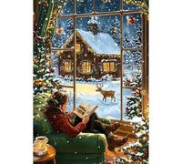 NEWENMO Beautiful Lady Diamond Painting Kits for Adults,5D Christmas Scenery Diamond Art,Landscape Diamant Painting,DIY Full Drill Gem Art Kits for Adults Beginners,for Christmas Home Decor-30x40cm