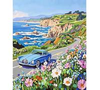 NEWENMO Coastal Road Scenery Paint by Numbers for Adults,Flowers Paint by Numbers Kits,Digital Oil Painting,Painting by Number Blue Car,DIY Acrylic Pigment Drawing Paintwork for Home Decor 40x50cm