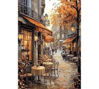 NEWENMO Paris Cafe Diamond Painting Kits Adults,5D French Street Diamond Art Kit,DIY Urban Landscape Full Drill Crystal Embroidery Gifts,Retro Diamond Art Craft,for Living Room Home Decor - 30x40cm