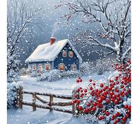 NEWENMO Snow Scenery Diamond Painting Kits Adults,5D Beautiful Landscape Diamond Art,DIY Diamant Arts Mosaic Kits for Adults Beginner,Full Round Drill Gem Art for Home Decoration 30x30cm