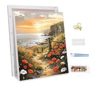 NEWENMO Sunset Scenery Paint by Numbers for Adults with Frame,Poppies and Wildflowers Painting by Number,DIY Hand Painted Oil Painting Kit,Acrylic Pigment Drawing Paintwork for Home Decor-30x40cm