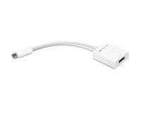 NewerTech (an OWC brand USB-C to DisplayPort Adapter