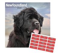Newfoundland Calendar 2026 | Square Dog Breed Wall Calendar | 16 Month | With FREE Organisational Stickers