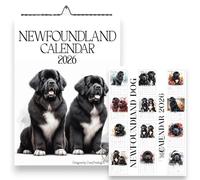Newfoundland Dog 2026 Wall Calendar, A4 Size 21.0 x 29.7 cm, Monthly Format with UK & US Holidays, Newfoundland Calendars, Canine Calendar, Handmade, Newfoundlands