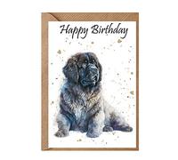 Newfoundland Dog - Birthday Card - Watercolour Splash