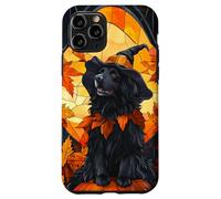 Newfoundland Dog Halloween Pumpkin Witch Hat Case for iPhone 11 Pro