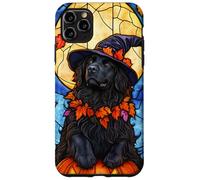 Newfoundland Dog Halloween Pumpkin Witch Hat Case for iPhone 11 Pro Max