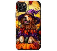 Newfoundland Dog Halloween Pumpkin Witch Hat Case for iPhone 11 Pro Max