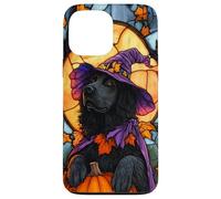 Newfoundland Dog Halloween Pumpkin Witch Hat Case for iPhone 13 Pro Max