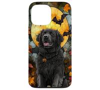 Newfoundland Dog Halloween Pumpkin Witch Hat Case for iPhone 13 Pro Max