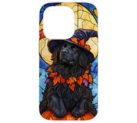Newfoundland Dog Halloween Pumpkin Witch Hat Case for iPhone 14 Pro