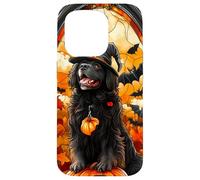Newfoundland Dog Halloween Pumpkin Witch Hat Case for iPhone 15 Pro