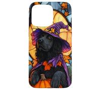 Newfoundland Dog Halloween Pumpkin Witch Hat Case for iPhone 15 Pro Max