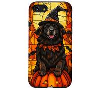 Newfoundland Dog Halloween Pumpkin Witch Hat Case for iPhone SE (2020) / 7/8