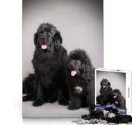 Newfoundland Dogs 1000 Pieces Puzzles for Adults Mind Exercise Toy Peaceful Time Design Assembly Creative Gift (38x26cm)