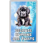 Newfoundland Fridge Magnet Gift - Because Humans Are Twats - Cute Novelty Fun Family Animal Present