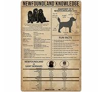 Newfoundland Knowledge Metal Sign Dog Anatomy Facts Tin Poster School Education Farm Bedroom Home Wall Decoration Plaque 12x16 Inches
