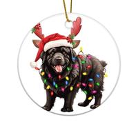 Newfoundland with Antlers Christmas Ornaments Funny Pet Dogs with Hat Round Porcelain Pendant Ceramic Circle Funny Christmas Bauble Present for Festive Holidays Home Decor