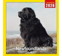 Newfoundlands Calendar 2026: A Year of Gentle and Loyal Newfoundland Dogs | Kalender Calendario Calendrier