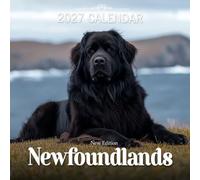 Newfoundlands Calendar 2027: Gentle Giant Dogs With Loyal Hearts