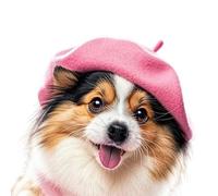 NEWFT Fashion Pet Berets Hat Ensuring Secure And Comfortable Wear For Dog Cats During Party Holiday Photography Props