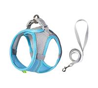 NEWFT Soft Pad Pet Harness Reflective Adjustable Chest Straps For Kittens and Small Breeds Outdoor Walking Training Gear