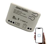 Newgoal 1 Channel Smart Switch Momentary/Snap WiFi Relay, Bluetooth eWeLink APP Control Switch, DIY Smart Home, Compatible with Alexa Google Home
