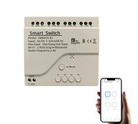 Newgoal 4 Channel Smart Switch, Momentan/Locking WiFi Relay, eWeLink App Bluetooth Control Switch, DIY Smart Home, Compatible with Alexa Google Home