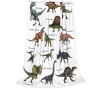 Newhomestyle Dinosaur Throw Blanket for Boys & toddler, Soft and Warm Dino Flannel Blanket, Lightweight Cozy Fleece Blankets for Bed Sofa Couch (Stegosaurus, Dimetrodon, Velociraptor) - 75X100 cm