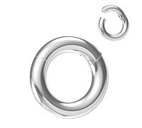 NewkeepsR 6G×10mm Steel Clicker Septum Ring,Prince Albert Piercing Nose Segment Hinged Eearring Seamless Hoop Jewellery