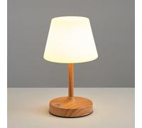 NEWSEE Cordless LED Small Table Lamp, Waterproof Shower Light with 4000mAh Battery, Transportable Rechargeable Touch Dimming Night Light for Kitchen, Patio, Restaurant, and Bathroom (Wood Grain)