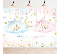 Newsely Blue Pink Gender Reveal Backdrop 7Wx5H Photography He or She Party Supplies Decorations Cloud Baby Shower for Newborn Background Gold Stars Party Decorations Banner Photo Booth Props Supplies