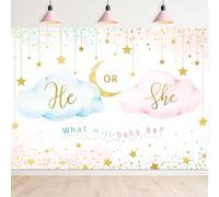 Newsely He Or She Gender Reveal Backdrop 7Wx5H Boy or Girl Pink Cloud What Will Baby Be Background Gold Stars Moon Cute Lovely Newborn Party Decorations Banner Photo Booth Props Birthday Supplies
