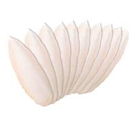 Newsmy 10 Pack Cuttlefish Bone for Birds, Natural Cuttlebone for Parrots and Budgies, Calcium Chew for Beak Care, Suitable for Snails and Tortoise [10Pcs 10CM]