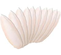 Newsmy 11 Pack Cuttlefish Bone 10 CM Natural Cuttlefish for Birds Tortoise Snails Budgies for Molar & Nutrition Needs(11Pcs 10CM)