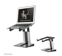 NewStar NSLS200 Notebook Desk Stand