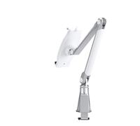 Newstar TABLET-D100SILVER Universal Tablet Desk Stand - Silver