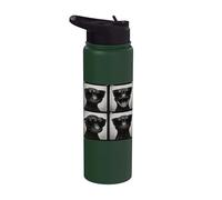 Newt Salamander Cool Sunglasses Portraits Stainless Steel Insulated Water Bottle