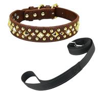 Newtensina Anti Bite Studded Dog Collar and Leash Puppy Collar with Gold Square Spike for Small Dogs Large Dogs (0013) - Brown - S