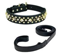 Newtensina Anti Bite Studded Dog Collar and Leash Puppy Collar with Gold Square Spike for Small Dogs Large Dogs (0017) - Black - M