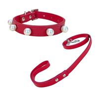 Newtensina Cute Pearl Dog Collar Puppy Collar and Leash Set for Small Pets Little Cats Small Dogs