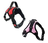Newtensina Fashion 2pcs Harness Set Reflective Dog Harness Breathable Nylon Mesh Harness for Medium Dogs Large Dogs