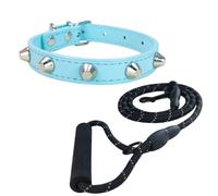 Newtensina Punk Cone Rivet Pet Collar with Soft Handle Leash for Small Medium Dogs
