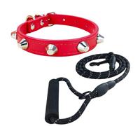Newtensina Punk Cone Rivet Pet Collar with Soft Handle Leash for Small Medium Dogs
