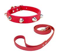 Newtensina Punk Cone Rivet Pet Collar with Soft Leash for Small Medium Dogs